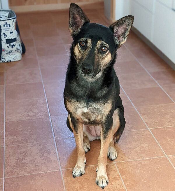 カメラをじっと見つめるのんちゃん