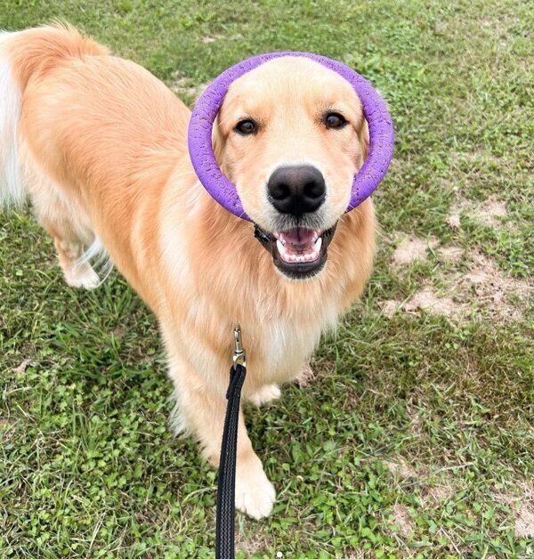 楽しそうなのあちゃん