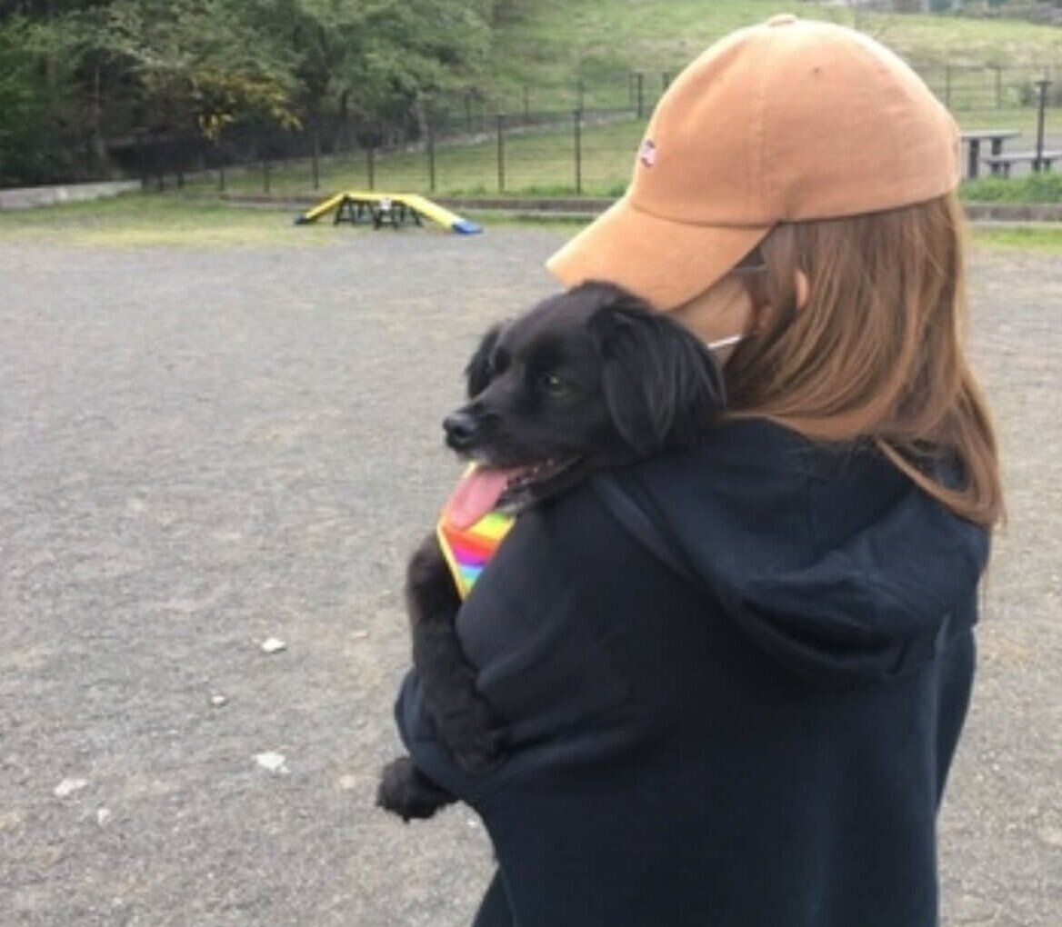 お迎えして間もないころのシャーリーちゃん