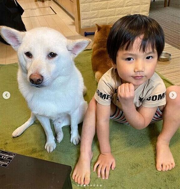 ロロくんと次男くん