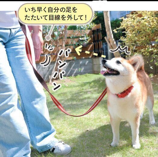 拾い食いを防ぐ目線管理