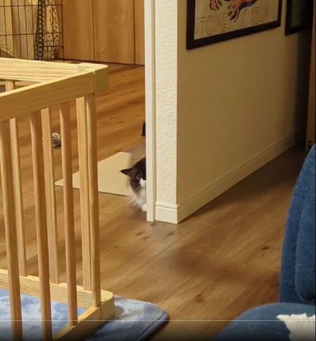 待ち伏せするこみちちゃん
