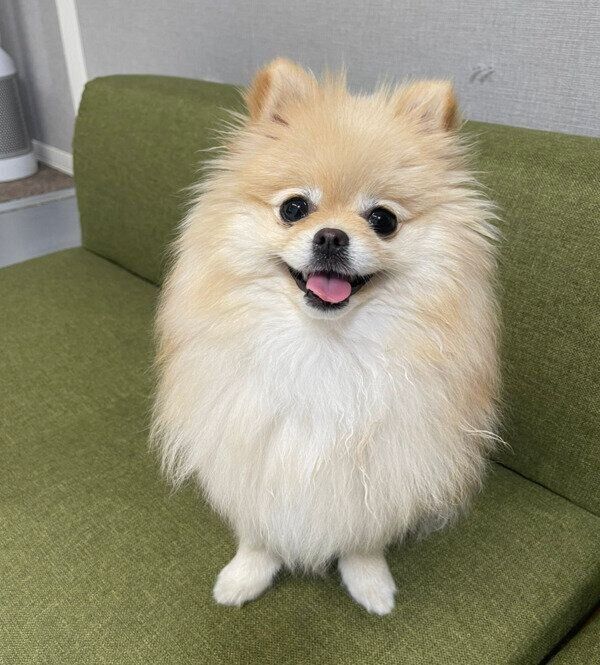 カメラを見つめて決めポーズの若様