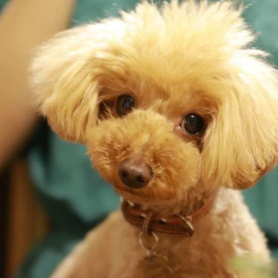 カメラ目線が可愛い♪