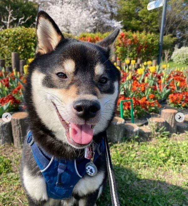 笑顔が可愛いカイトくん