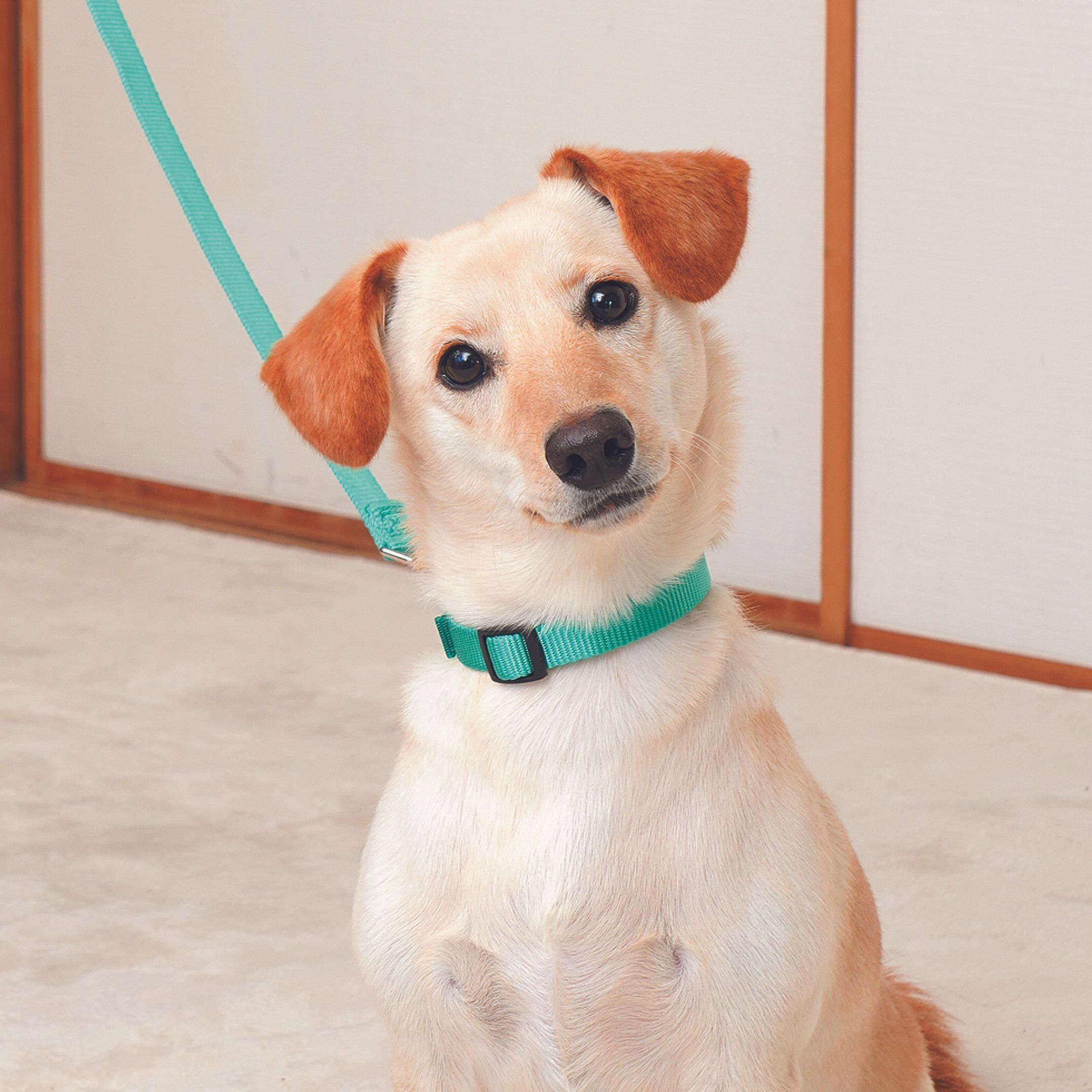 撮影／殿村忠博