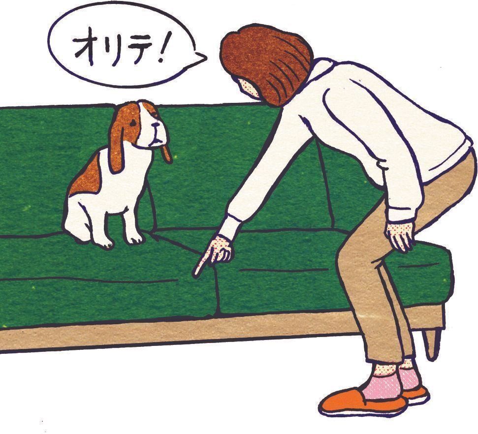 イラスト／泰間敬視