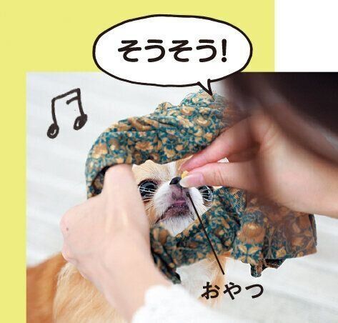 撮影／尾﨑たまき