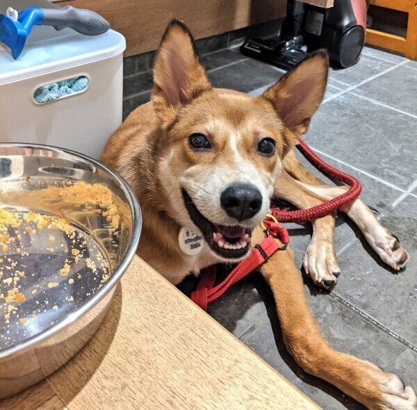 笑顔を見せるカンタくん