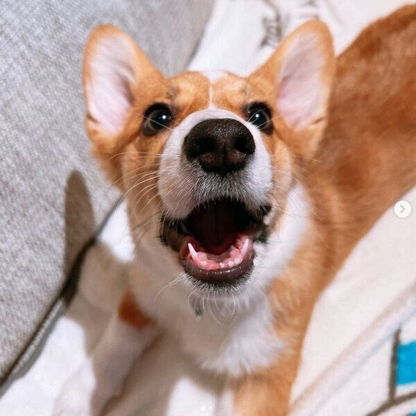 笑顔が可愛いモカちゃん