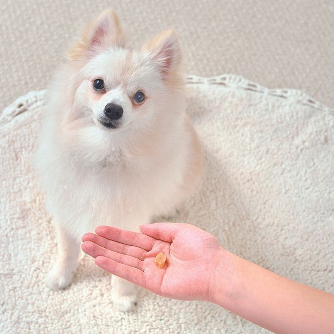 撮影／佐藤正之