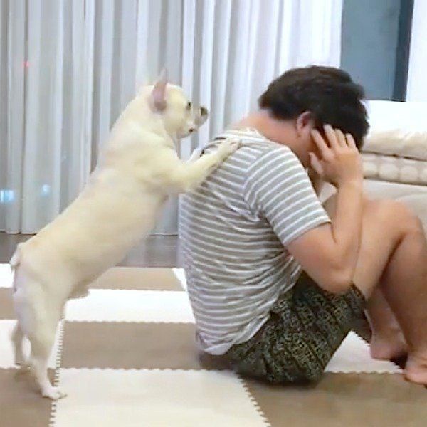 スパルタトレーナーのれおんくん