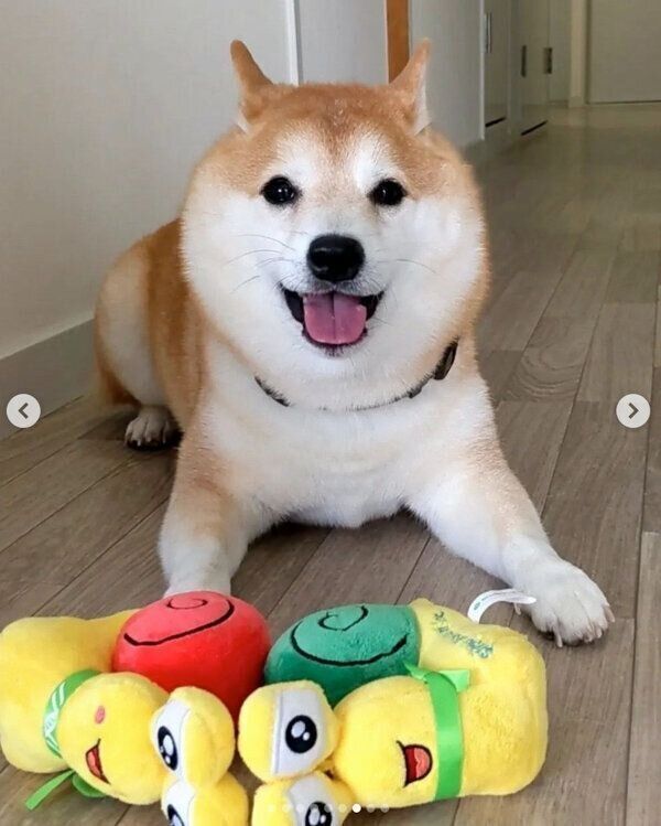 笑顔が可愛い福来くん