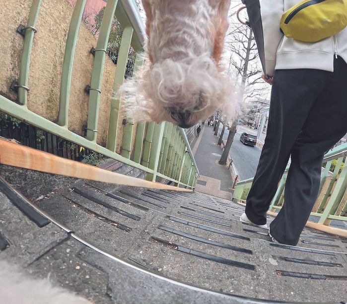 ほぼ垂直!?