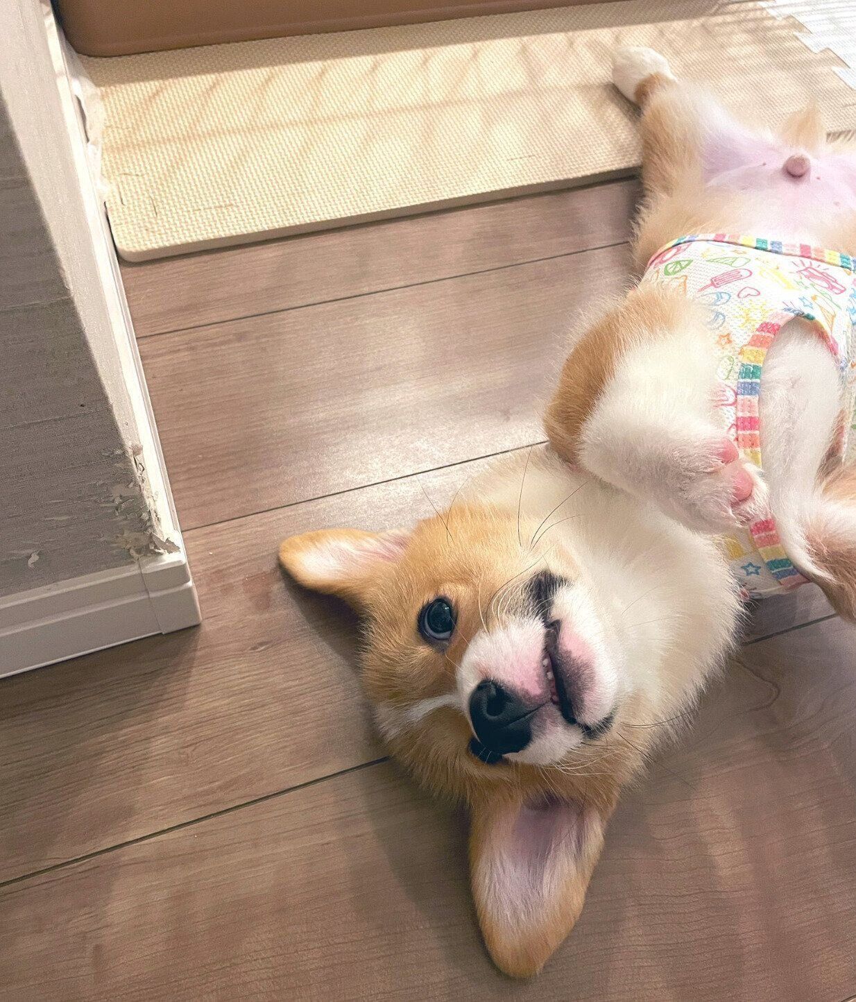 寝転がるこっぺくん