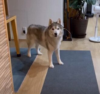 どこに隠そうかな?