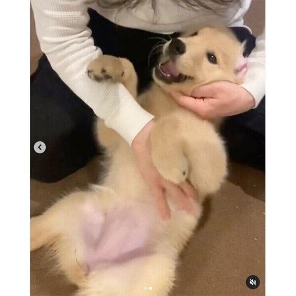 パパさんに甘えるテアちゃん