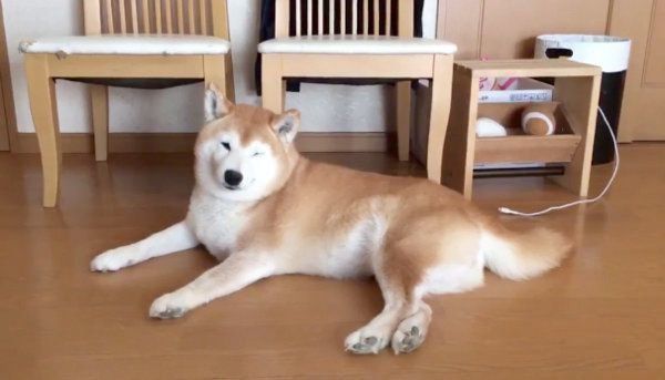 斜め45度でポーズを決めるロペさん