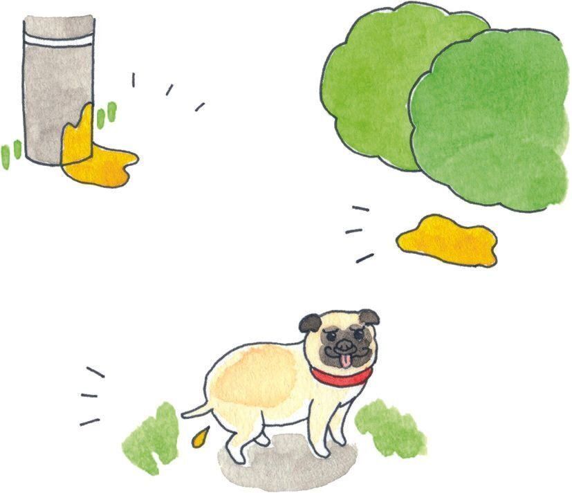 イラスト／今井夏子