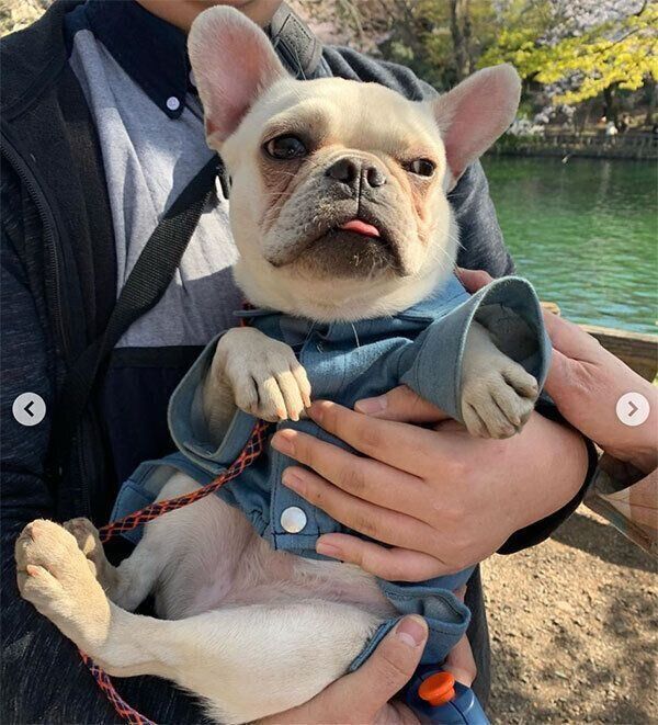 抱っこされるまるちゃん