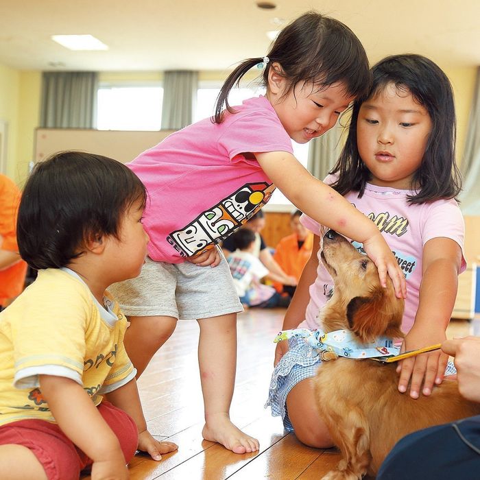 <span style="font-size:smaller;">撮影/尾﨑たまき</span>