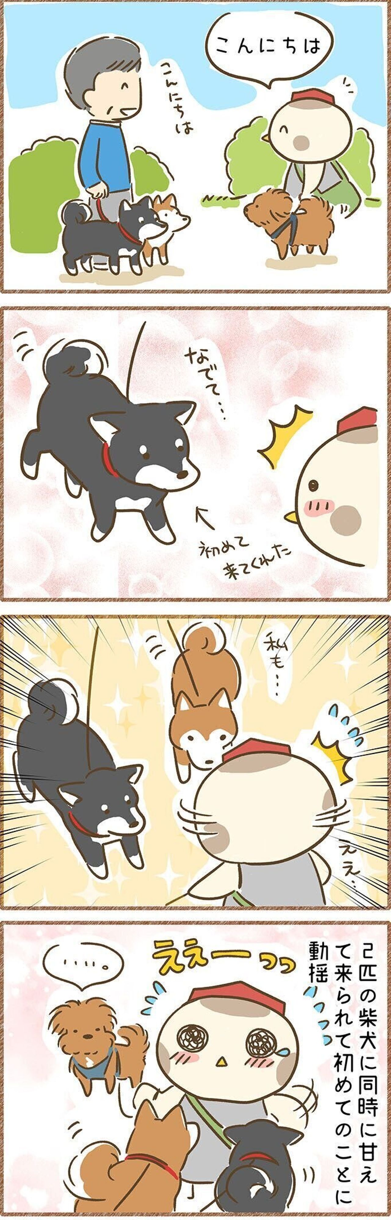 甘えられるとやっぱり嬉しい 顔見知りだった柴犬の突然な デレ に感動する話 連載 こぐま犬てんすけ Vol 127 いぬのきもちweb Magazine 甘えられるとやっぱり嬉しい 顔見知りだった柴犬の突然な デレ に感動する話 連載 こぐま犬てんすけ Vol 127 いぬのきもちweb Magazine