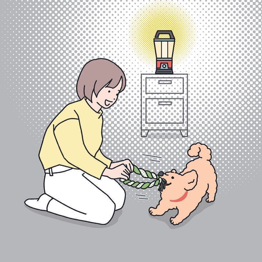 イラスト／井上明香