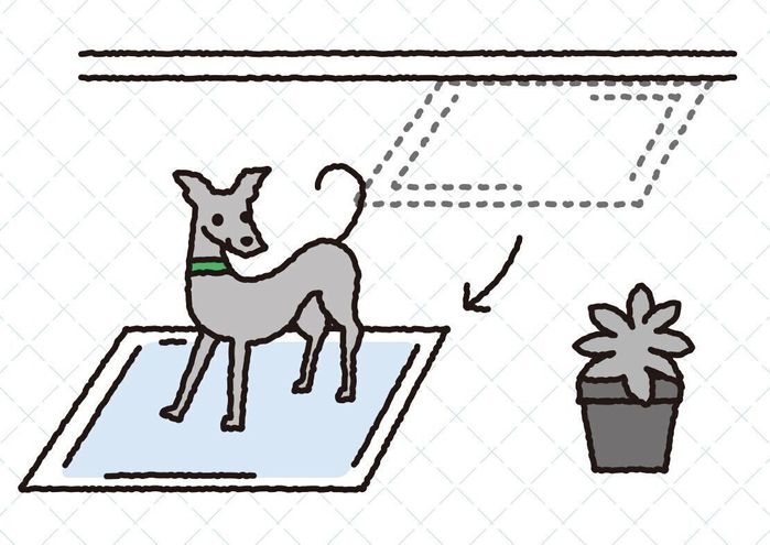 イラスト/亀山鶴子