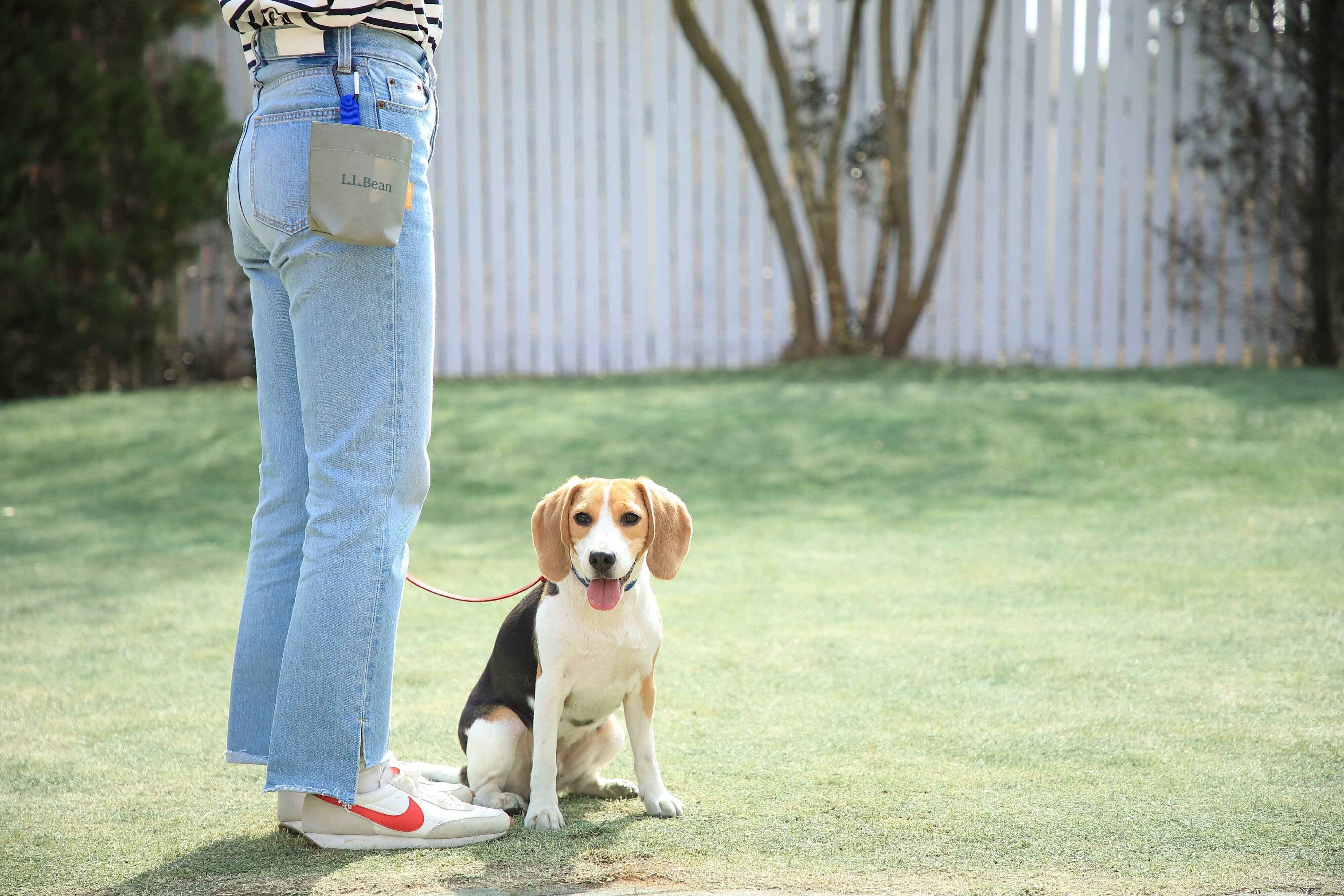 撮影／尾﨑たまき