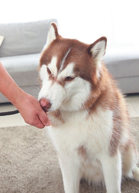 撮影/尾﨑たまき