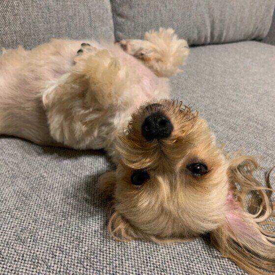 休憩中のチップちゃん