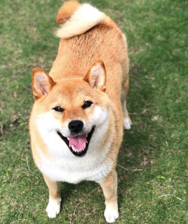 見つめるあさむらさん