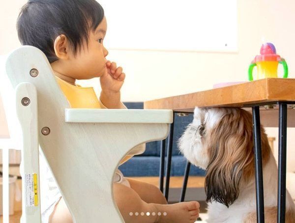 仲良しなシー・ズーと女の子