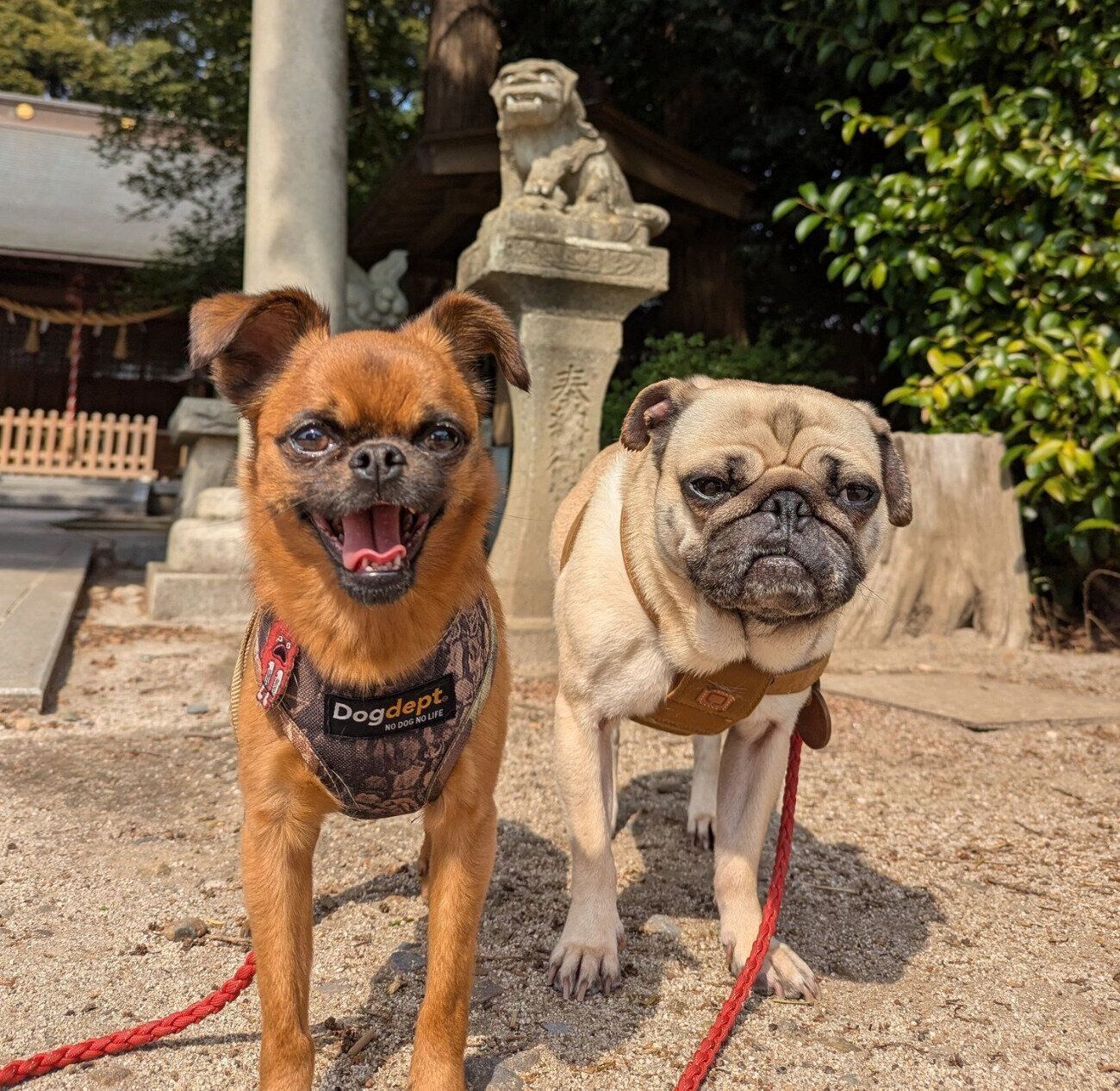 お出かけを楽しむビノくん、ルンタくん