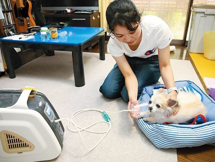 かかりつけ医と相談し、人用の酸素吸入器をアレンジ