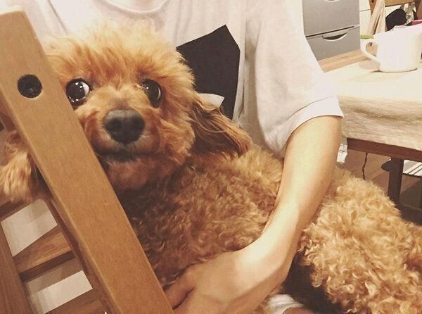 まったりするむぎちゃん