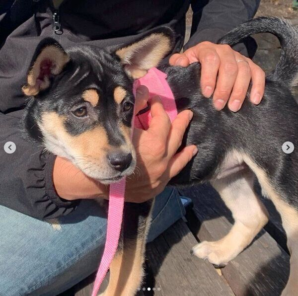 ななちゃんと初対面したときの様子