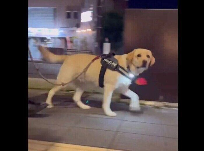 パパさんを迎えに行くぼんちゃん