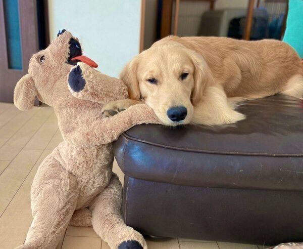 くつろぐまるくん