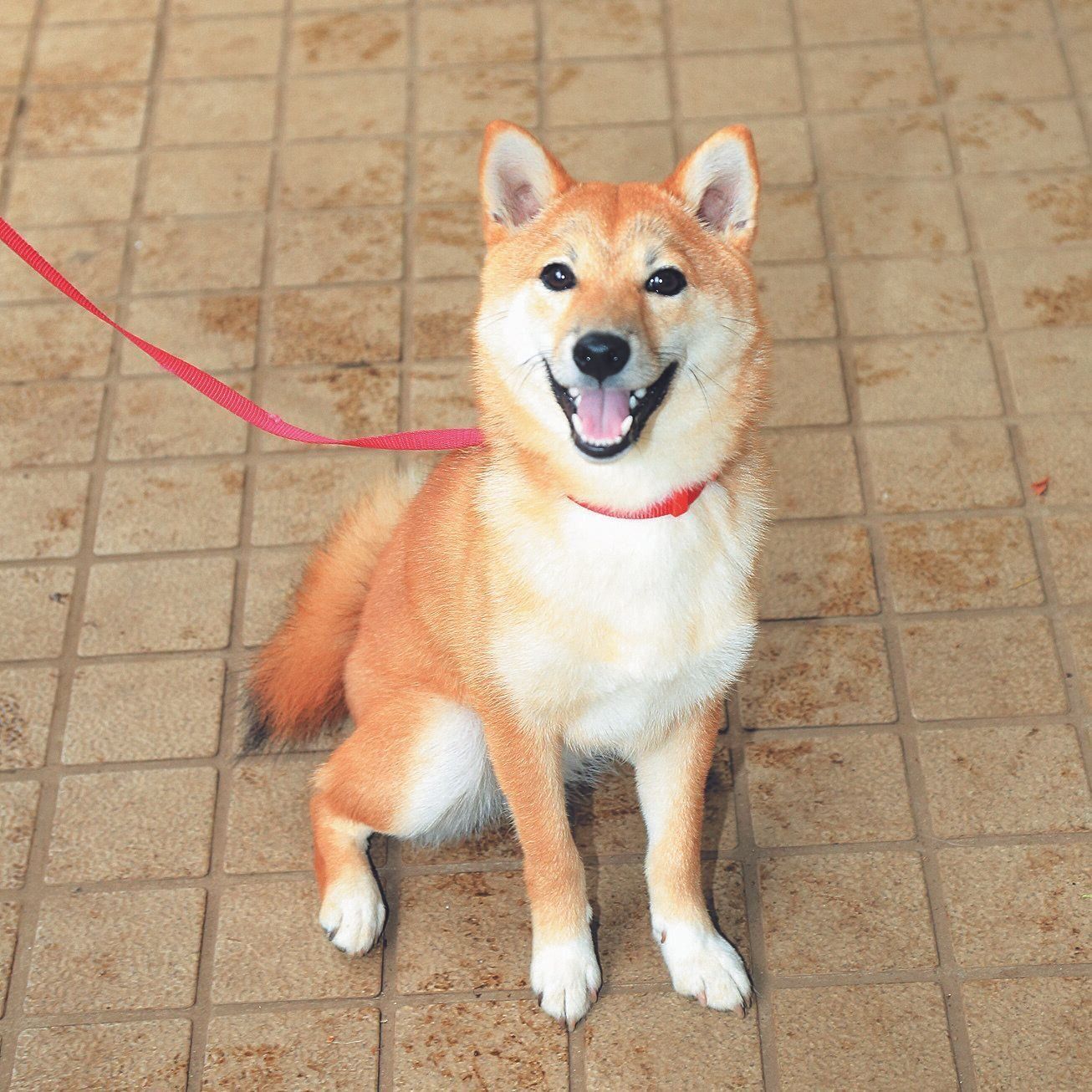 撮影／尾﨑たまき