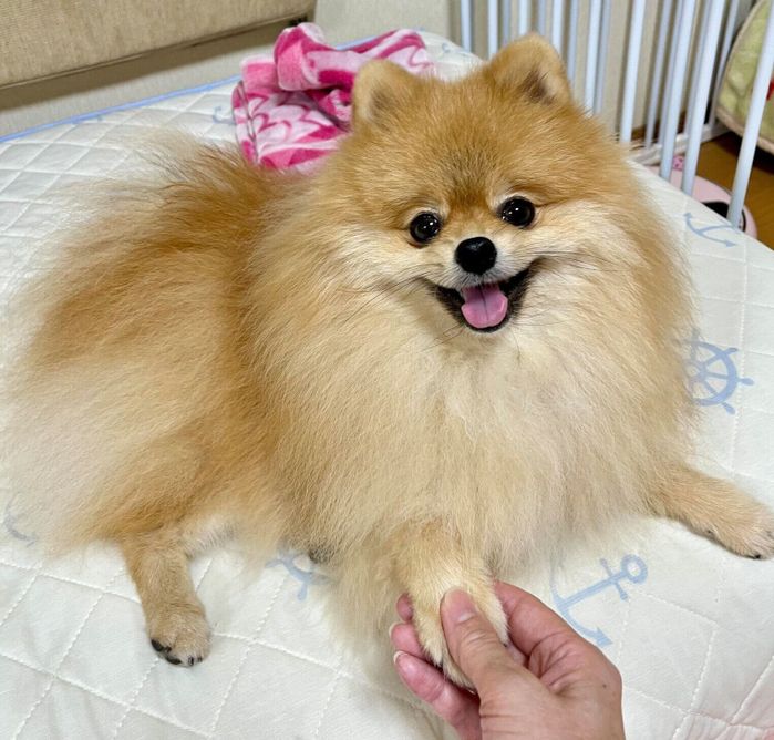 ニコニコ笑顔が可愛いたぬくん