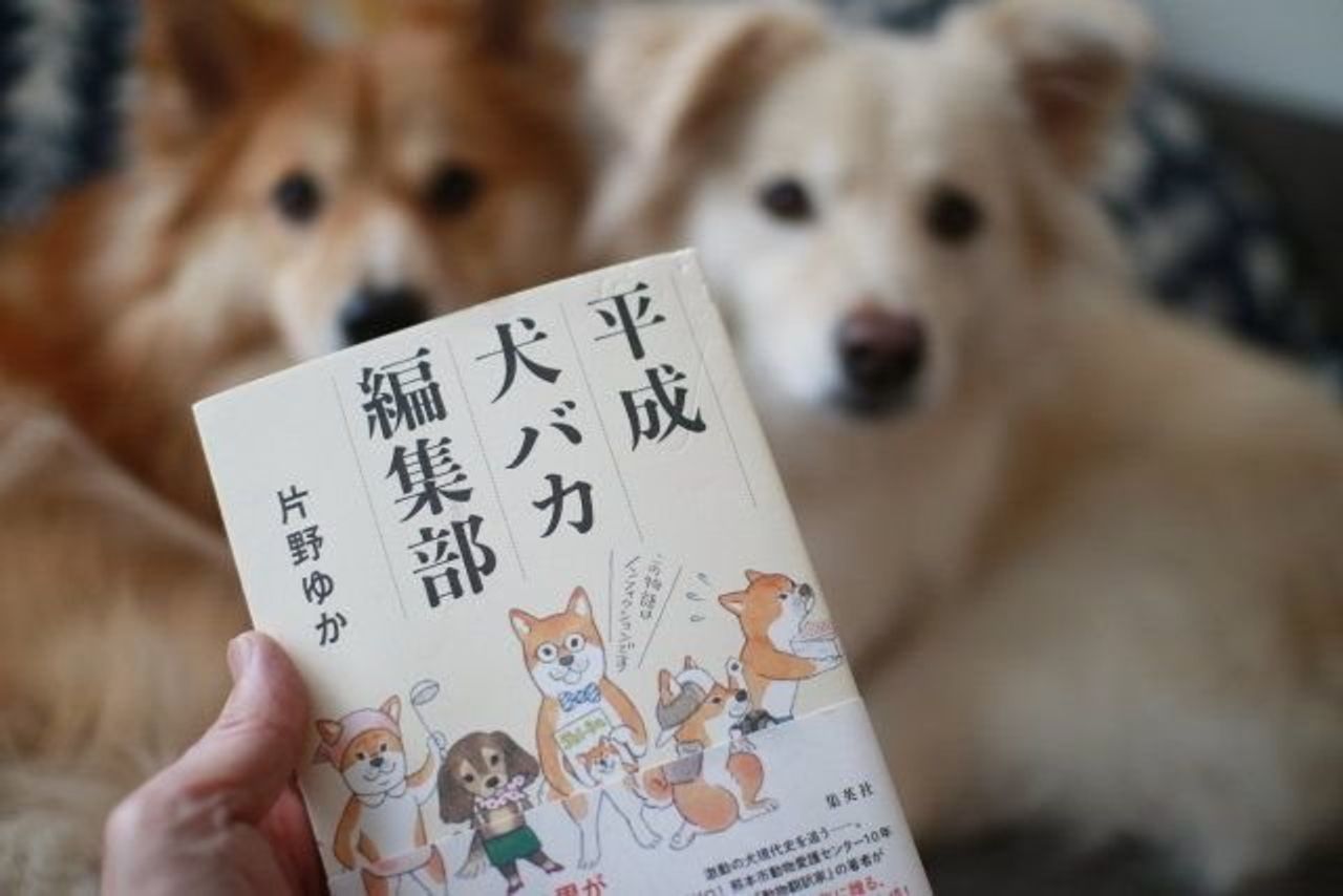犬がさらに愛おしくなる本 穴澤賢の犬のはなし いぬのきもちweb Magazine 犬がさらに愛おしくなる本 穴澤賢の犬のはなし いぬのきもちweb Magazine