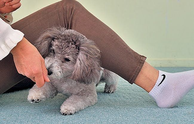 足の下をくぐらせても◎