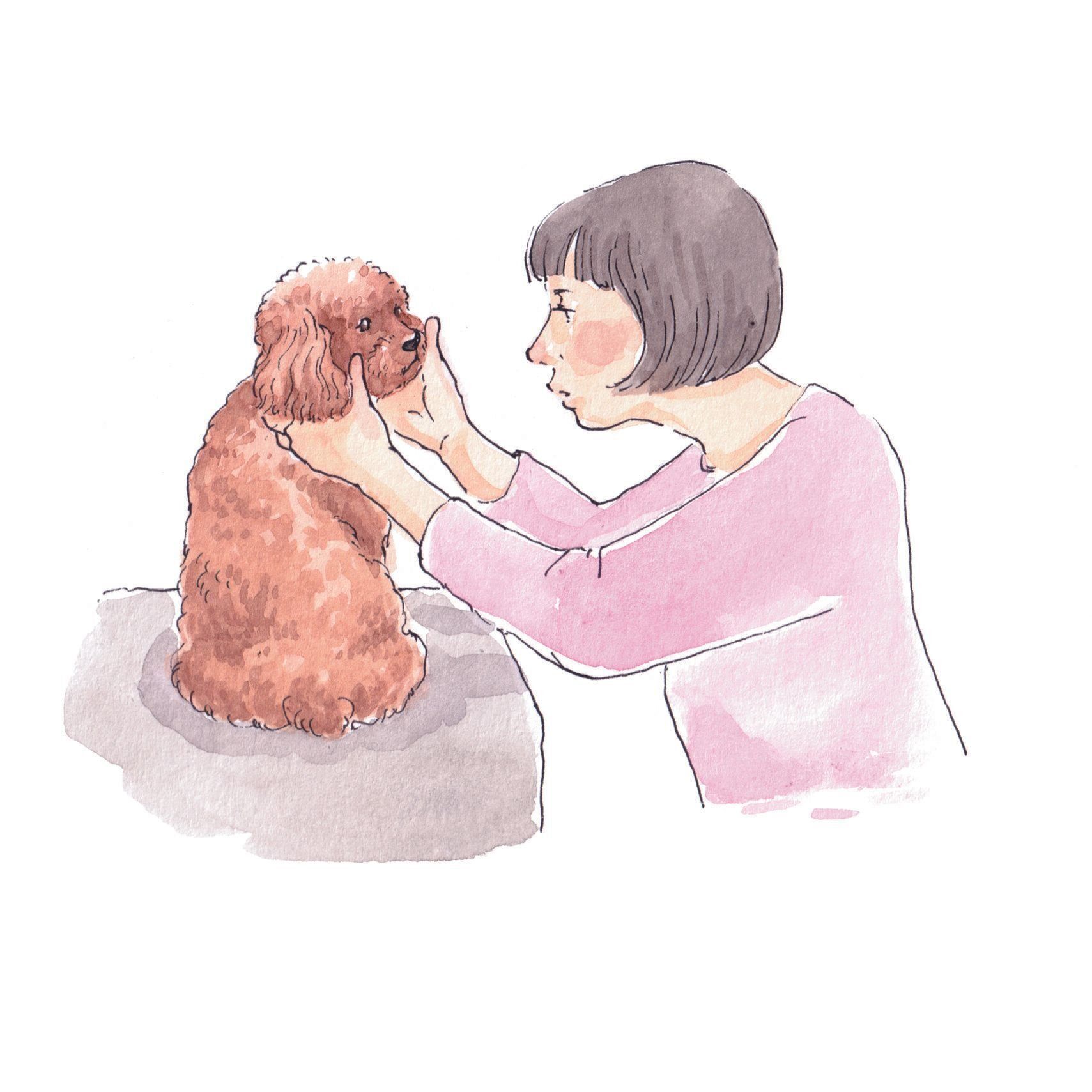 イラスト／フジマツミキ