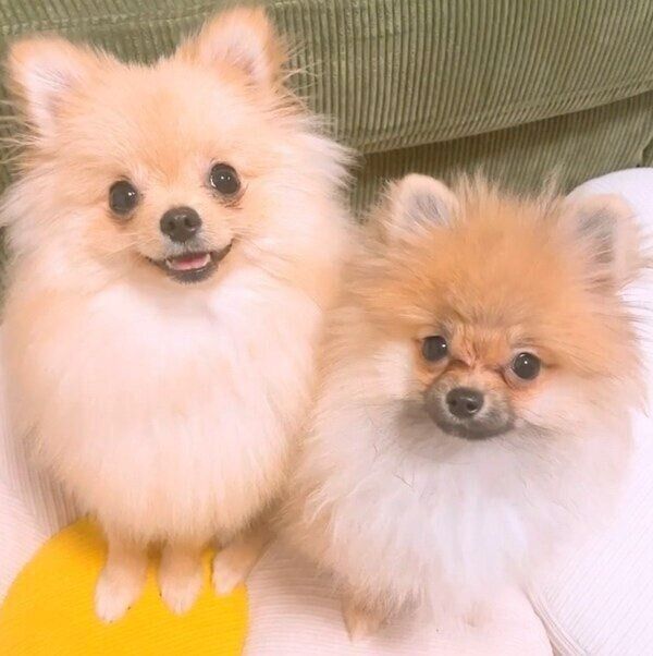 笑顔の仲良し2ショット