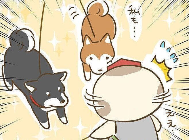 連載「こぐま犬てんすけ」
