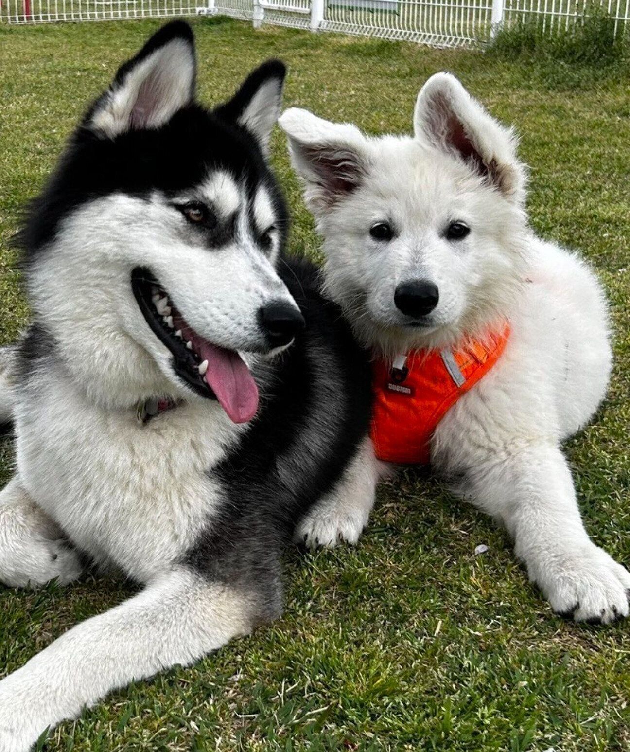 仲良しなゼロくん、ソフィちゃん