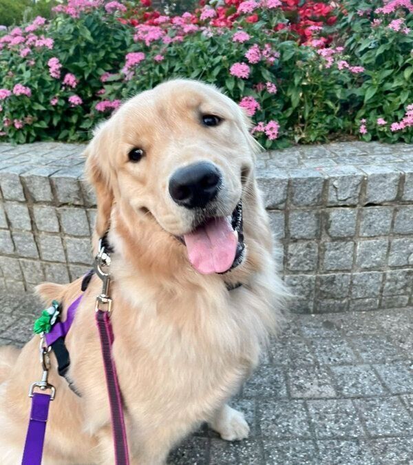 楽しそうなうにちゃん