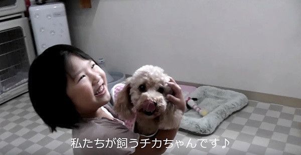 子どもに抱かれるトイ・プードル