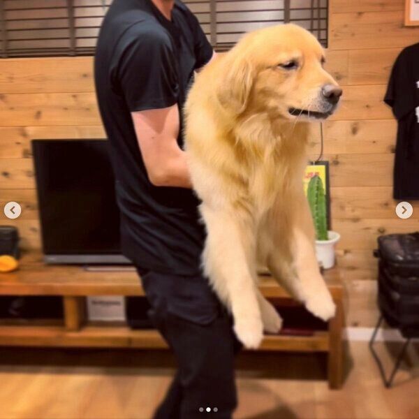 お風呂場に連行されるモッシュくん